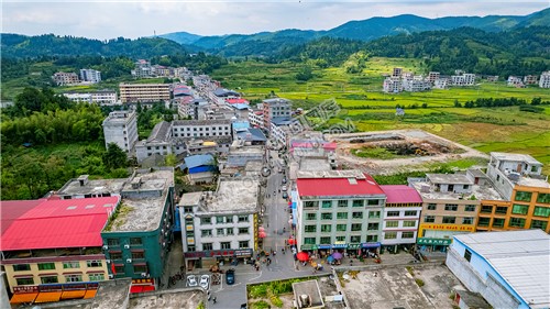 麻塘山乡的金色稻田风光