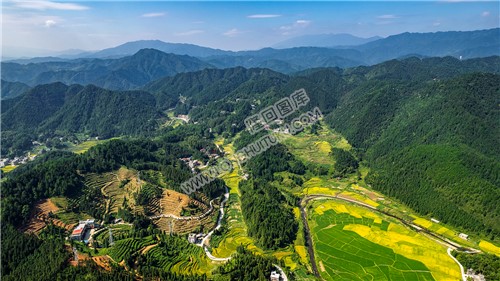 司门前镇一都茶叶