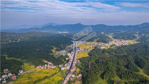 鸭田镇的秋收风光