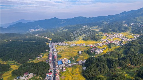 鸭田镇的秋收风光