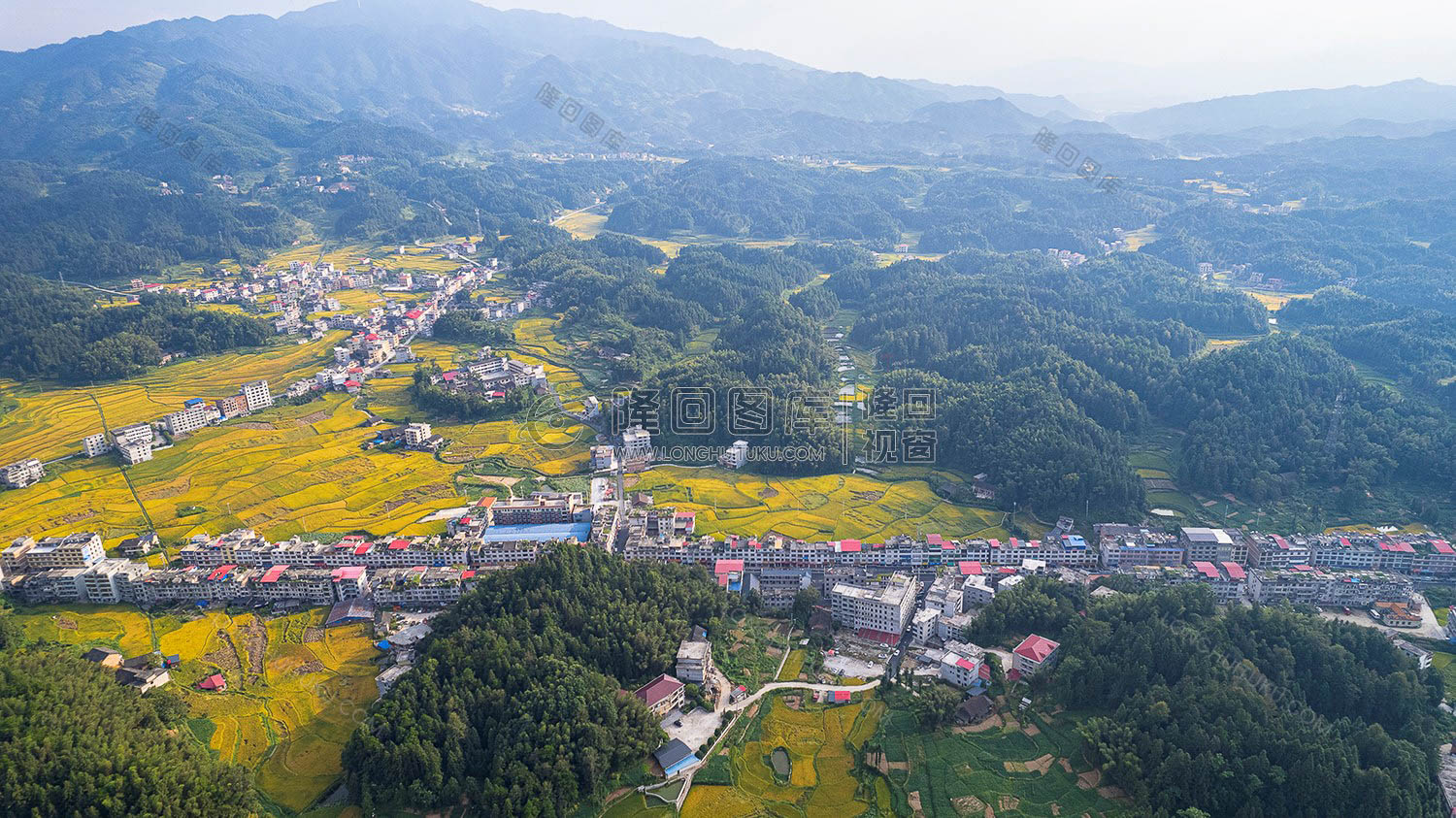 鸭田镇的秋收风光