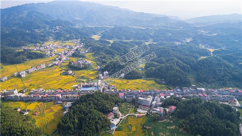 鸭田镇的秋收风光