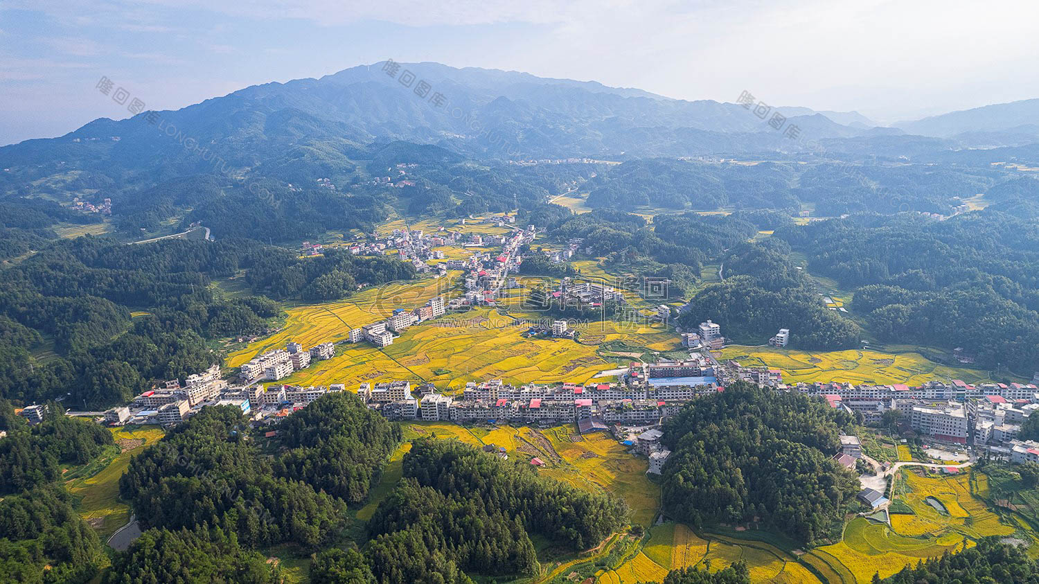 鸭田镇的秋收风光