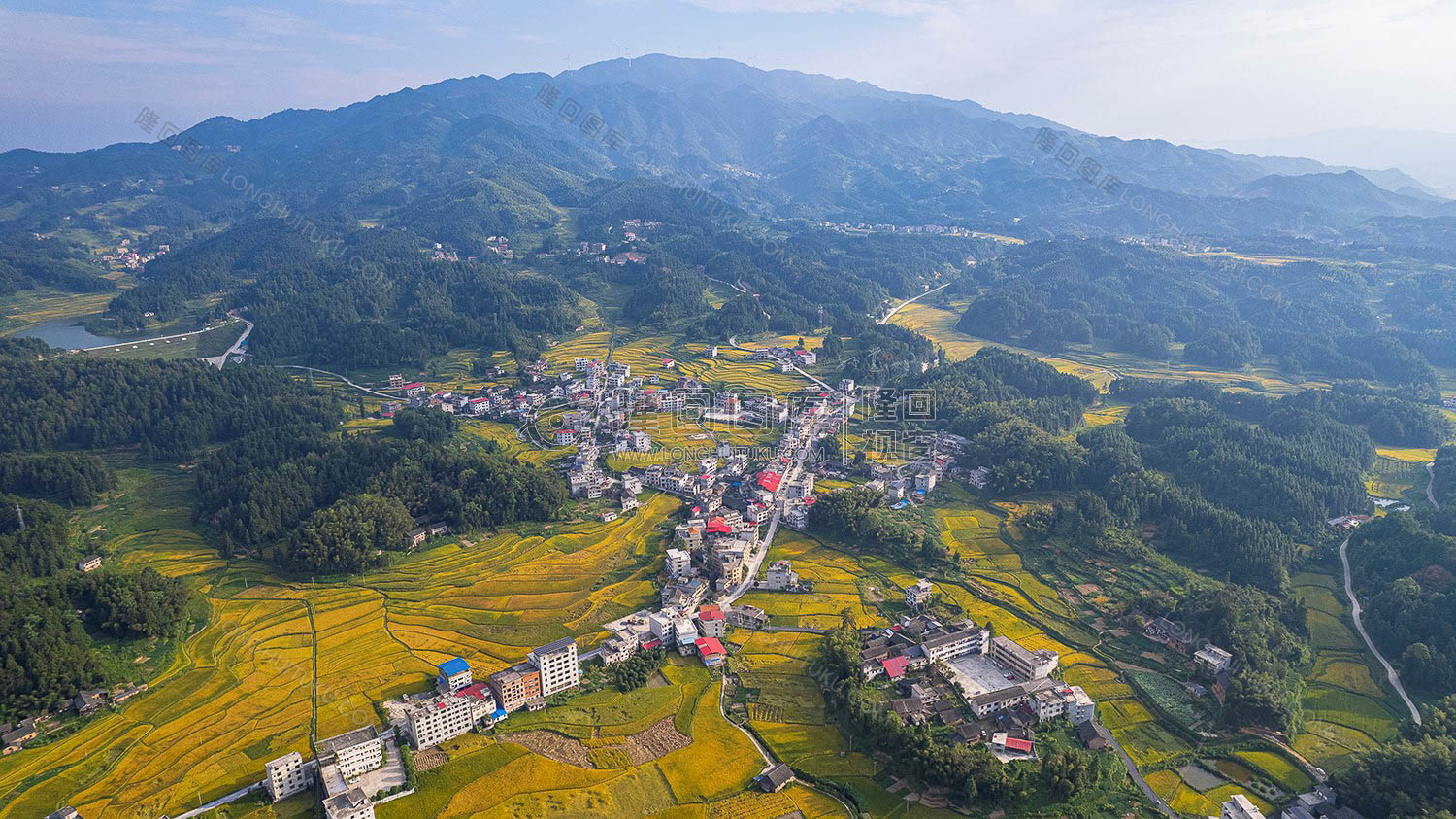 鸭田镇的秋收风光