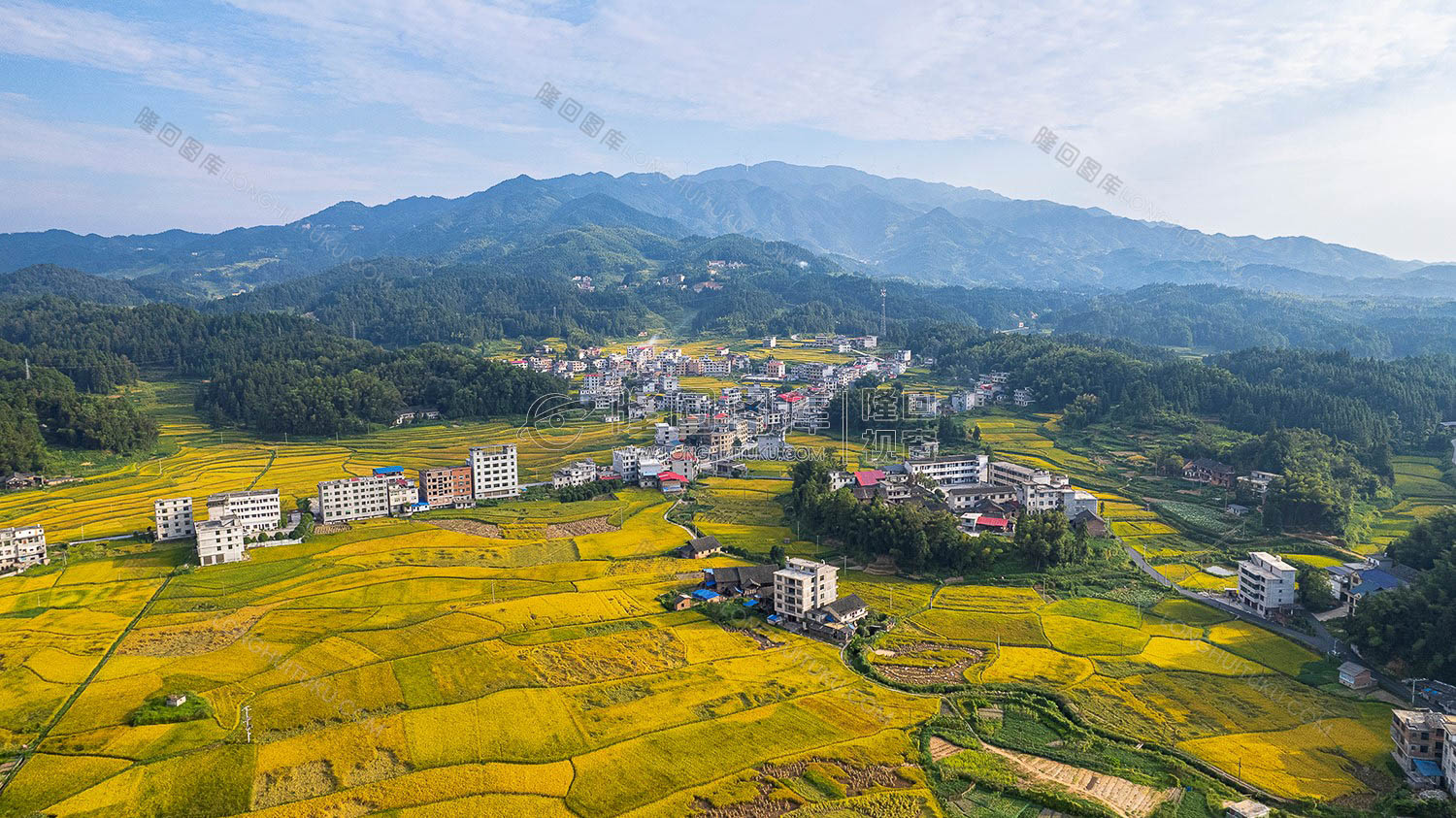 鸭田镇的秋收风光