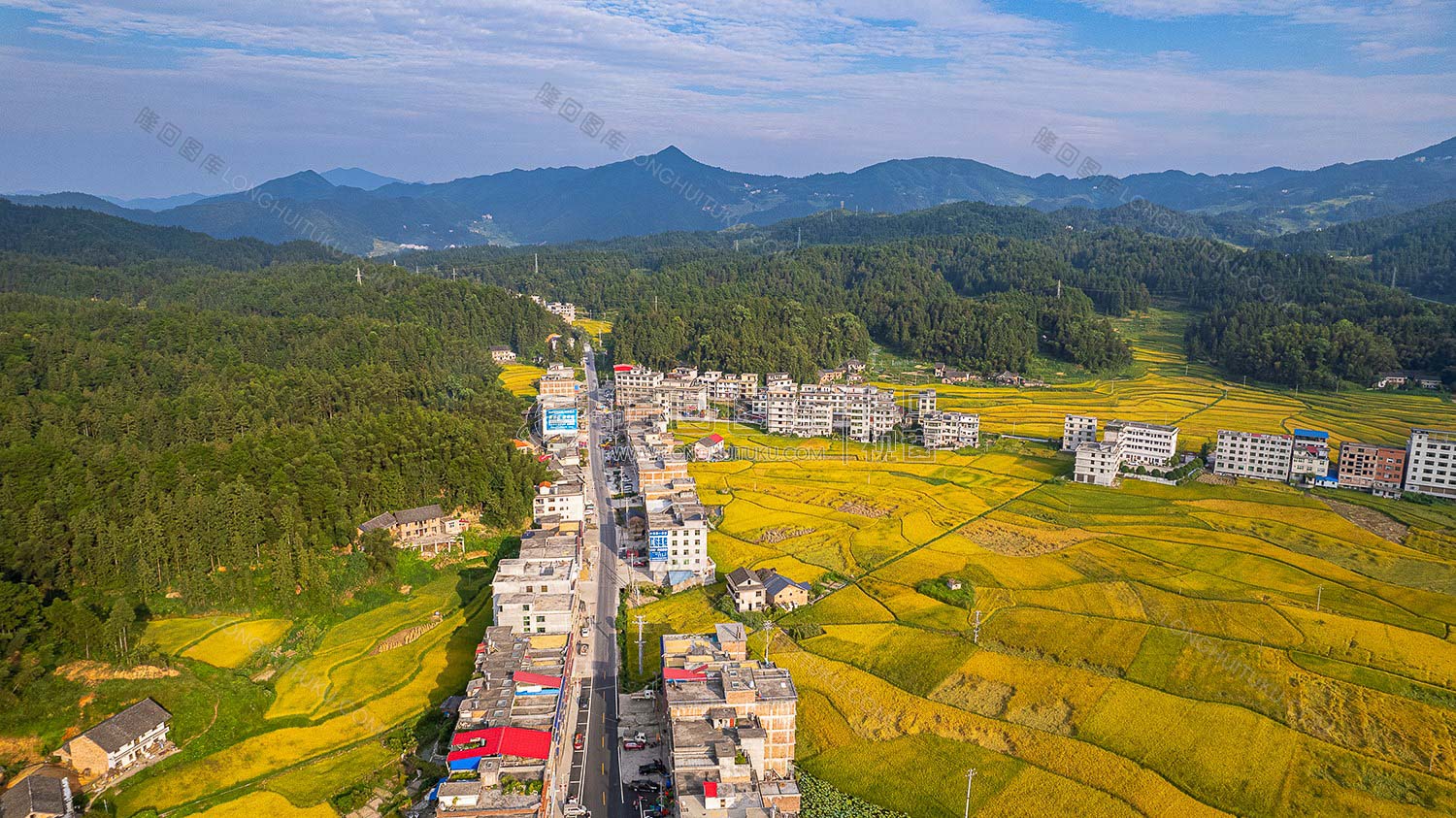 鸭田镇的秋收风光