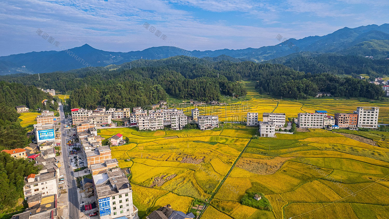 鸭田镇的秋收风光