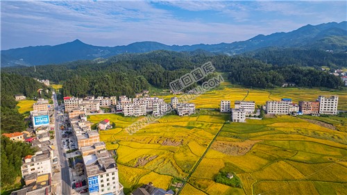 鸭田镇的秋收风光