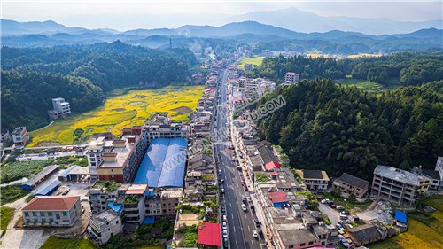 鸭田镇的秋收风光