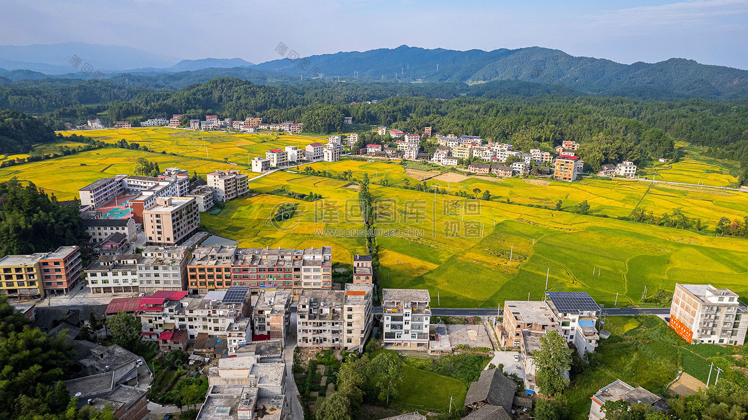 鸭田镇的秋收风光
