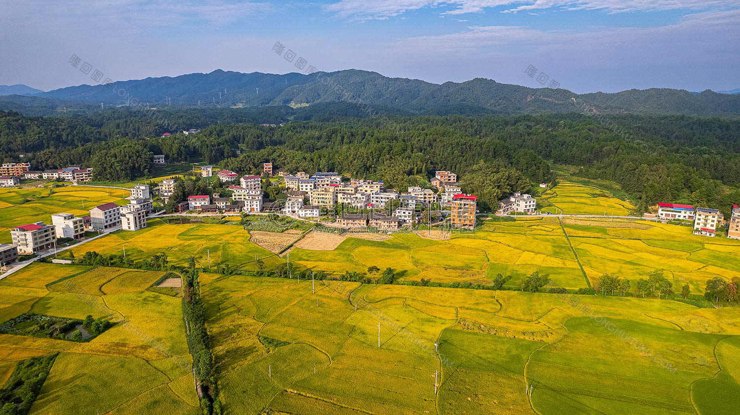 鸭田镇的秋收风光