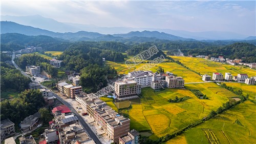 鸭田镇的秋收风光