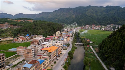 荷田乡村田园风光