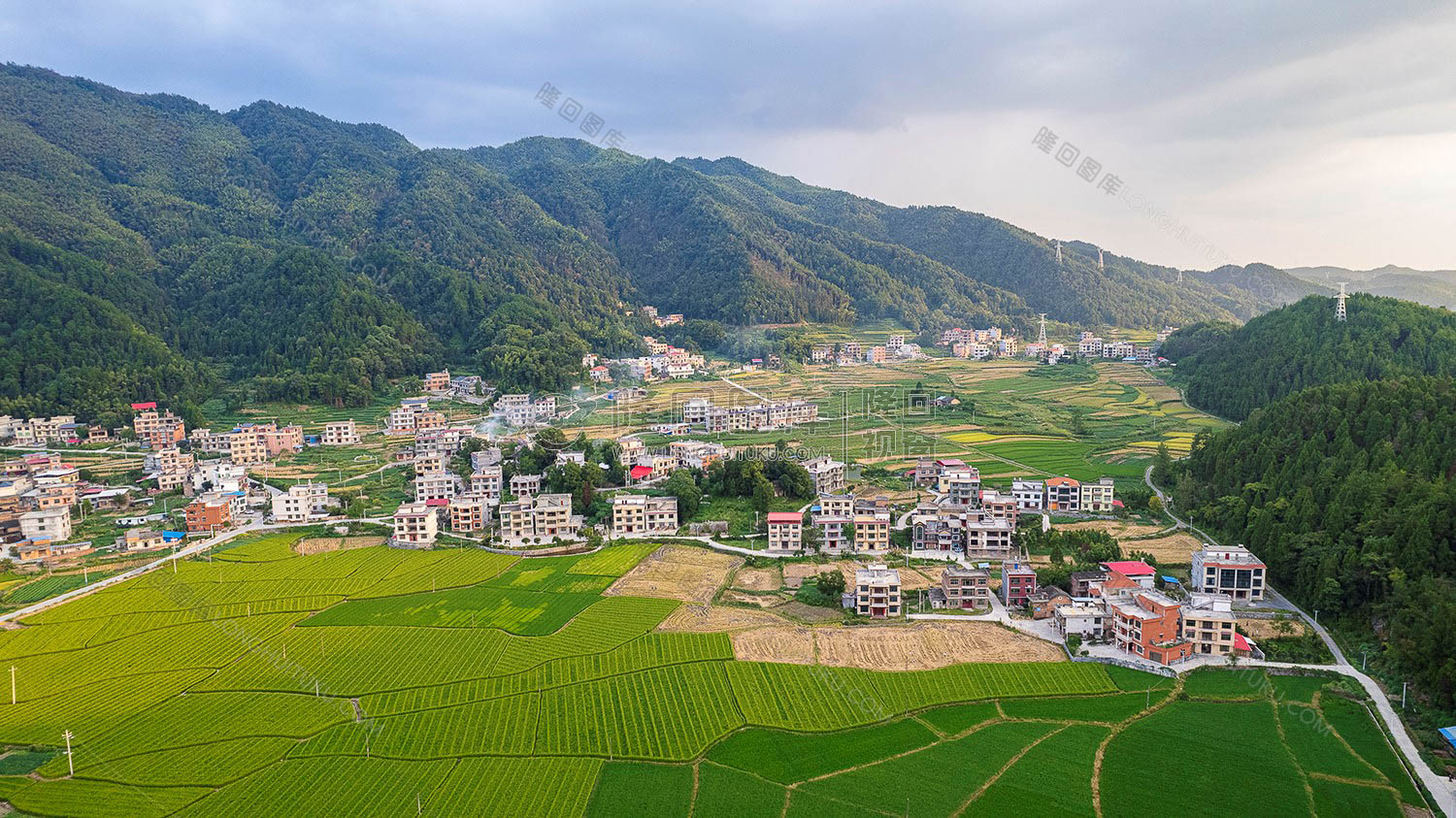 荷田乡村田园风光