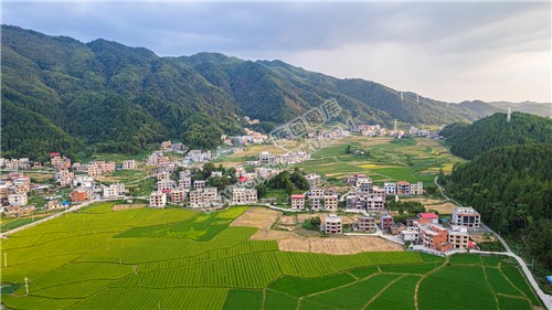 荷田乡村田园风光