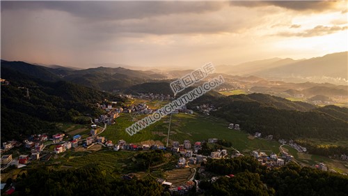 荷田乡村田园风光