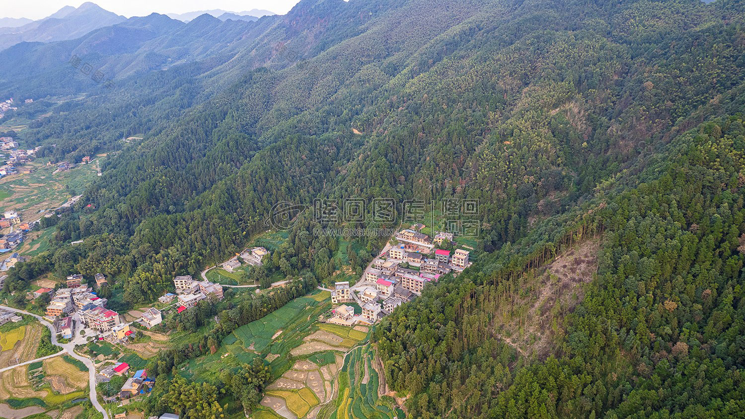 荷田乡村田园风光