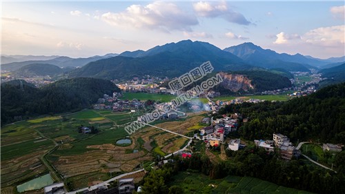 荷田乡村田园风光