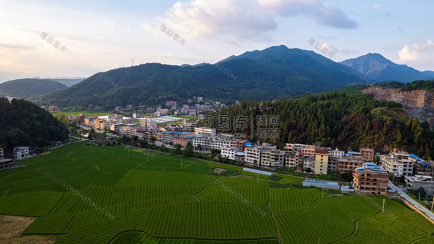 荷田乡村田园风光