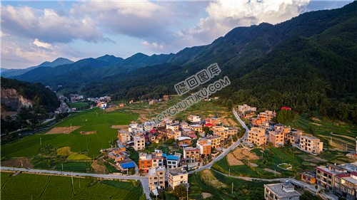 荷田乡村田园风光