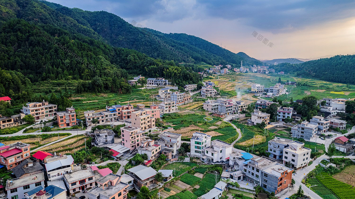 荷田乡村田园风光