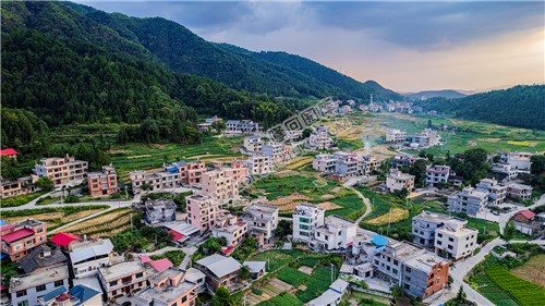 荷田乡村田园风光