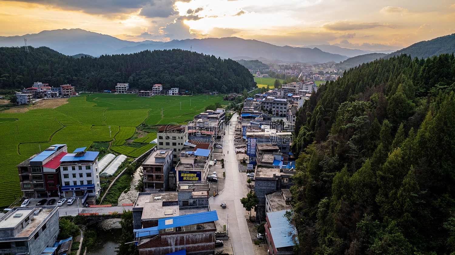 荷田乡村田园风光