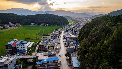 荷田乡村田园风光