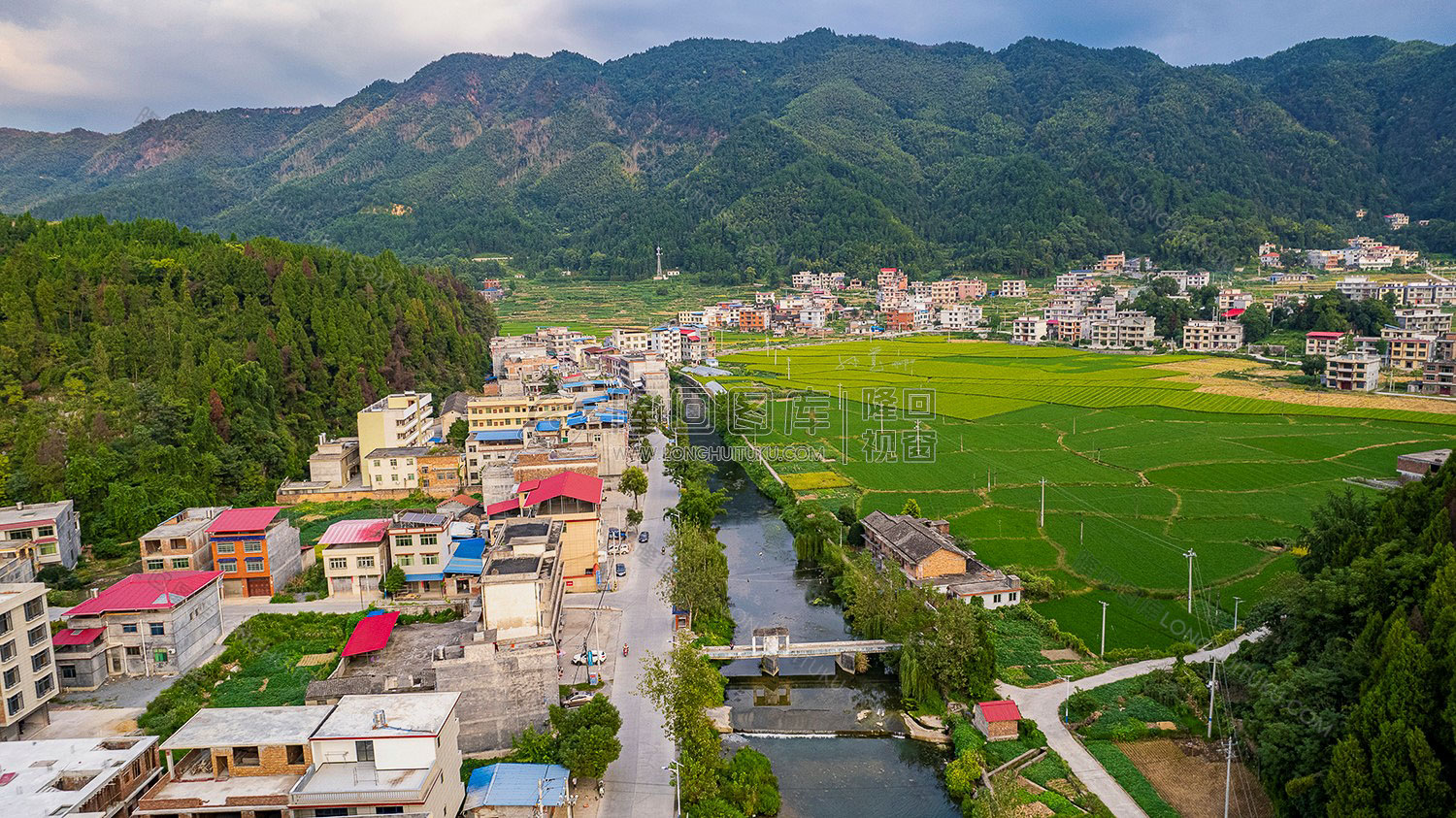 荷田乡村田园风光