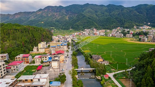 荷田乡村田园风光