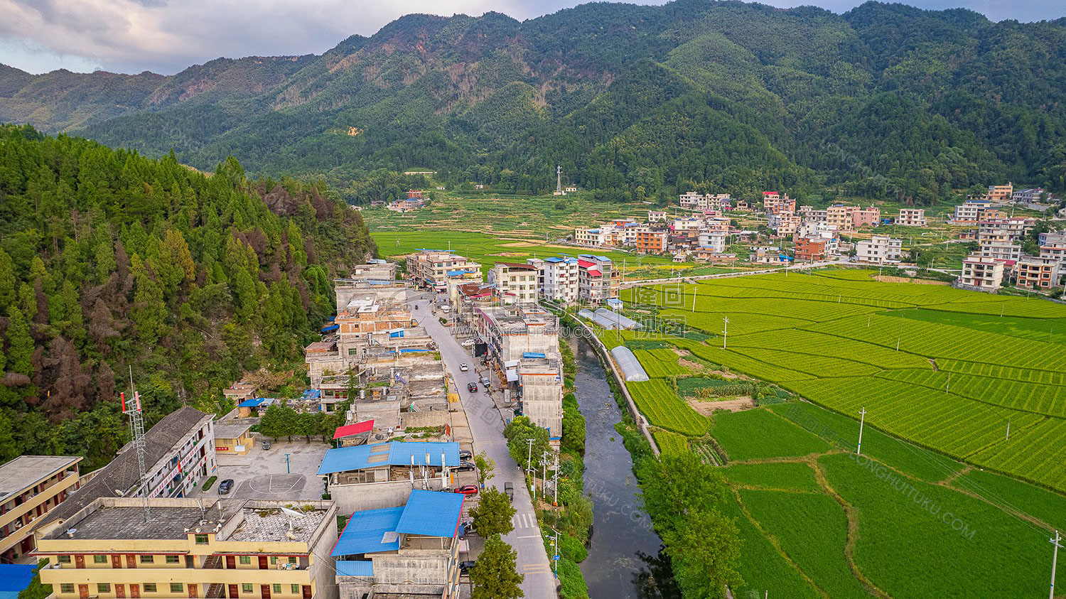 荷田乡村田园风光