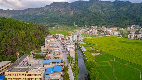 荷田乡村田园风光