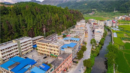 荷田乡村田园风光