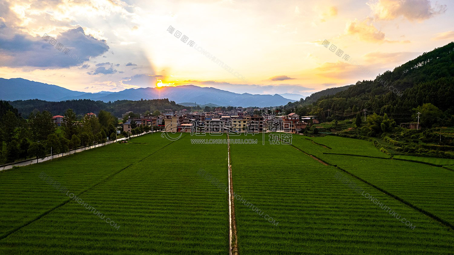 荷田乡村田园风光