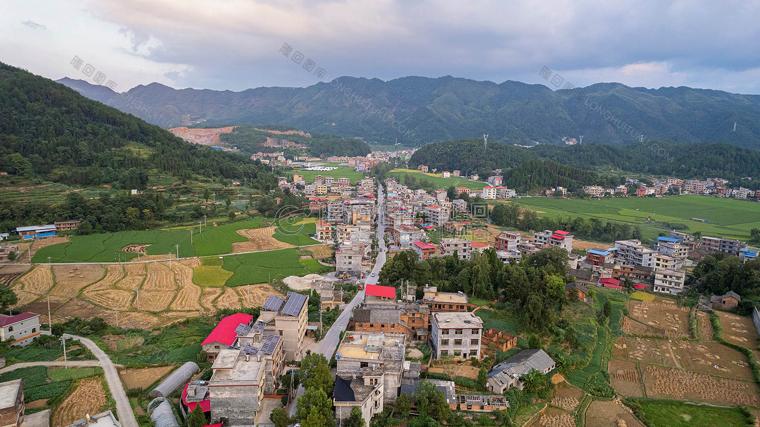 荷田乡村田园风光