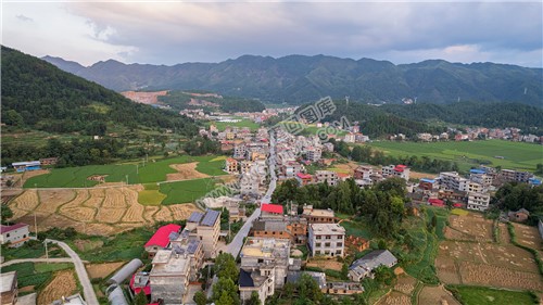 荷田乡村田园风光