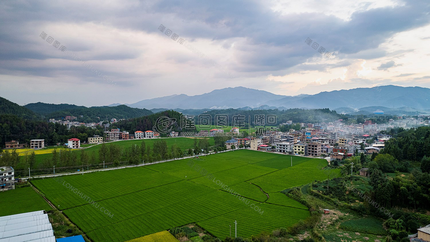 荷田乡村田园风光