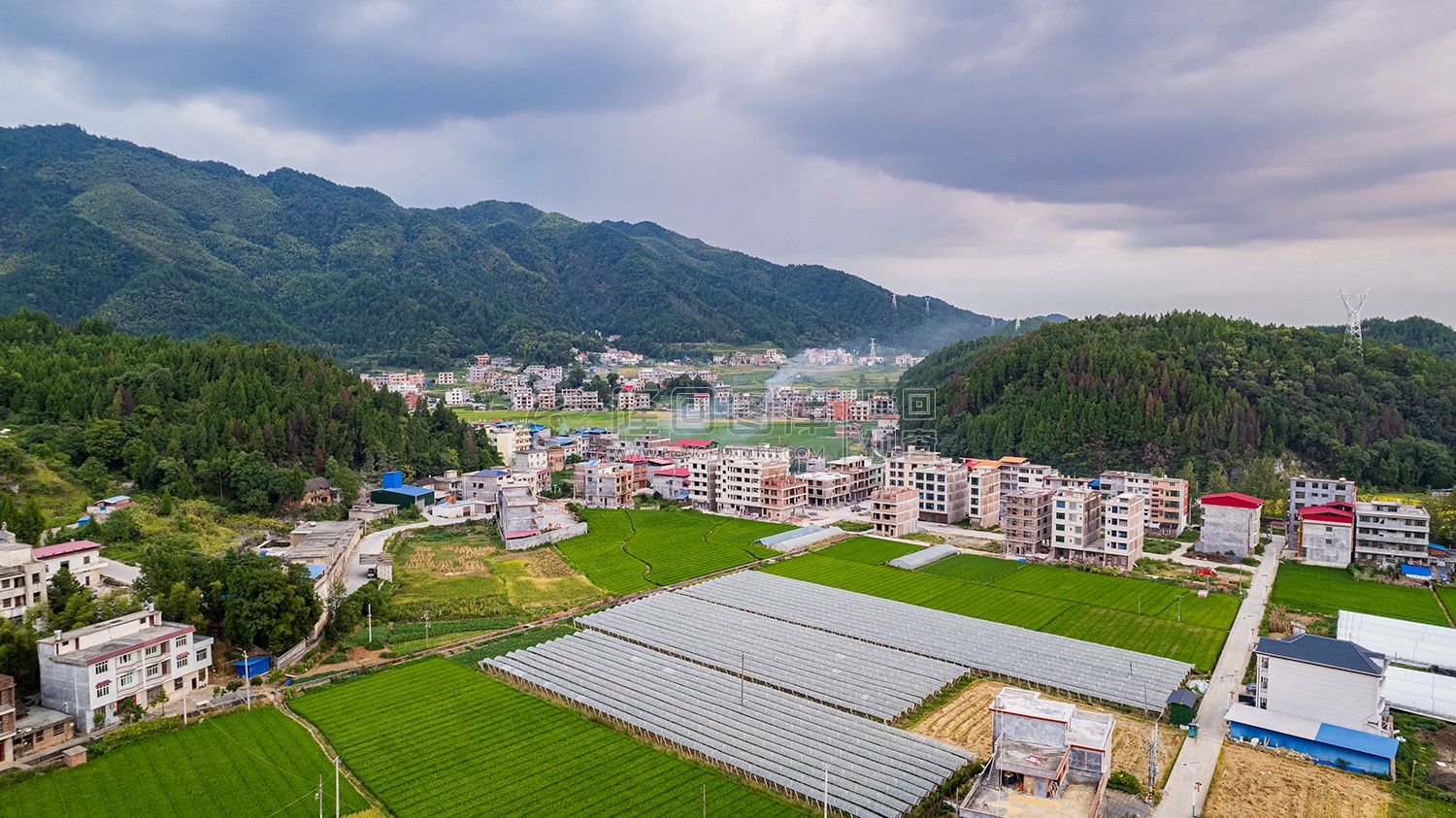 荷田乡村田园风光
