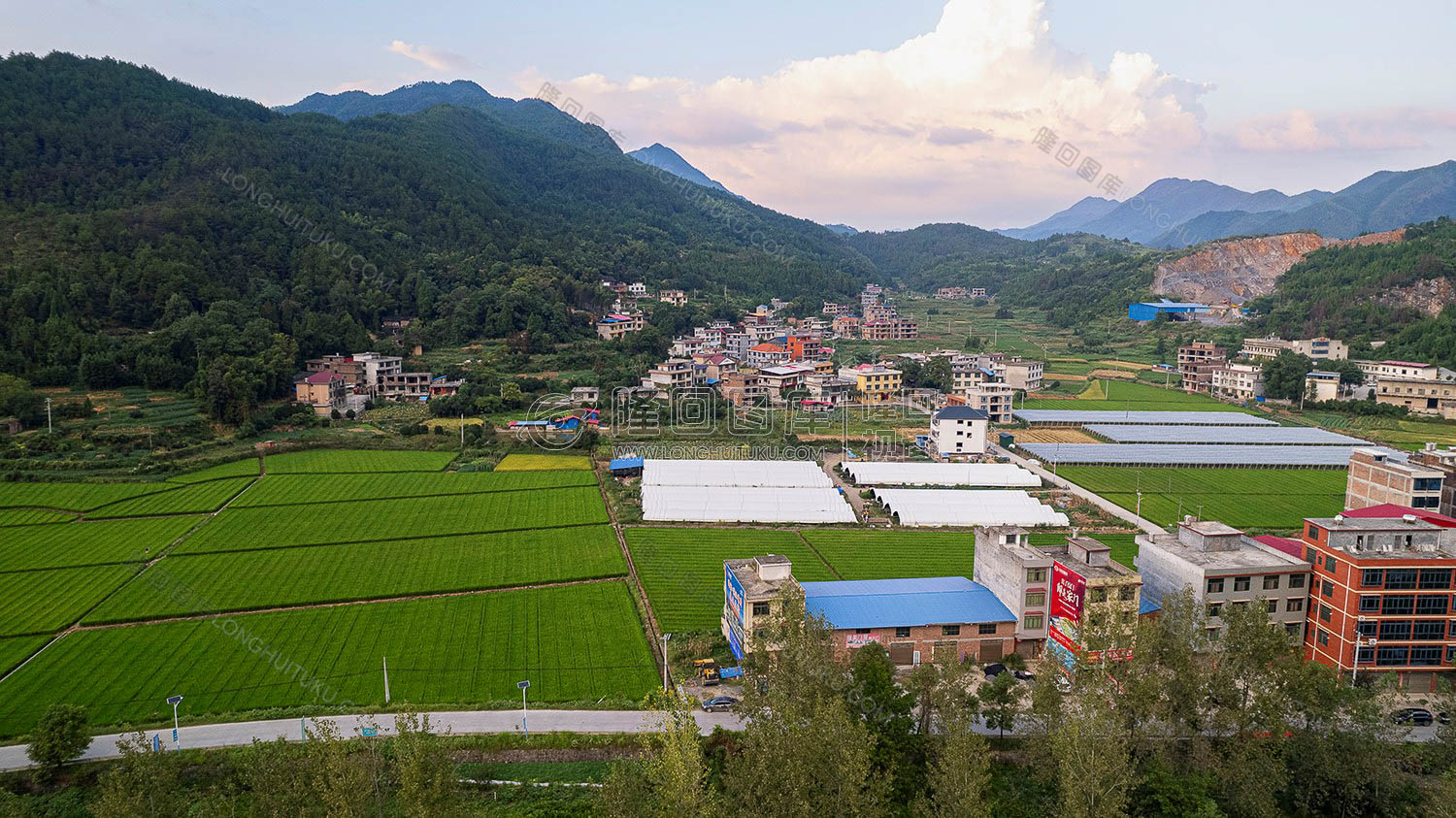 荷田乡村田园风光