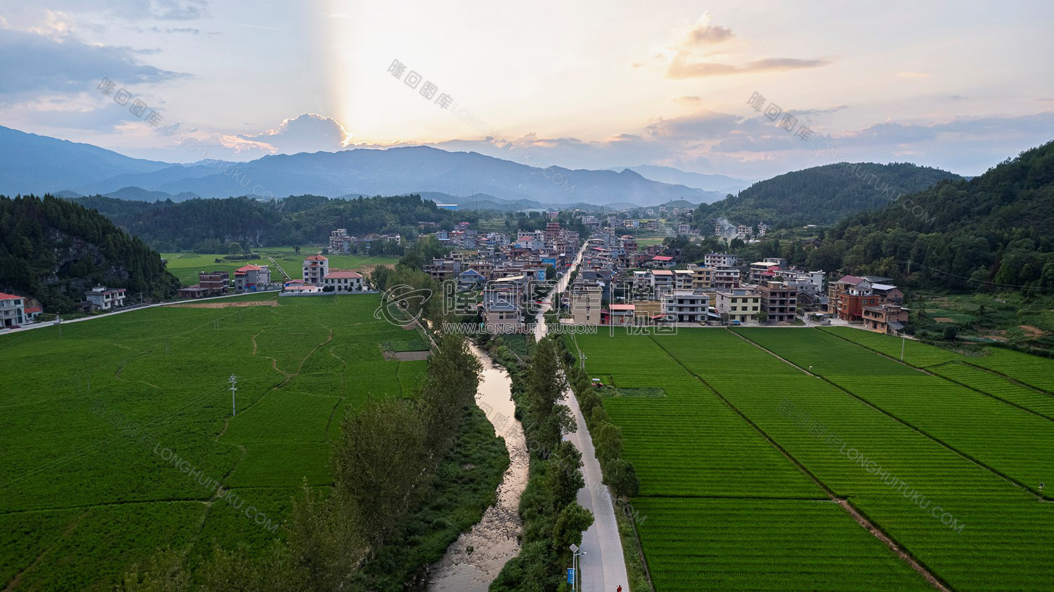 荷田乡村田园风光