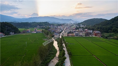 荷田乡村田园风光