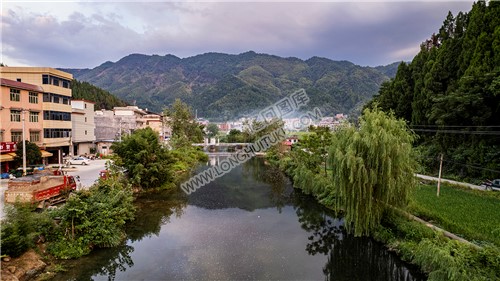 荷田乡村田园风光