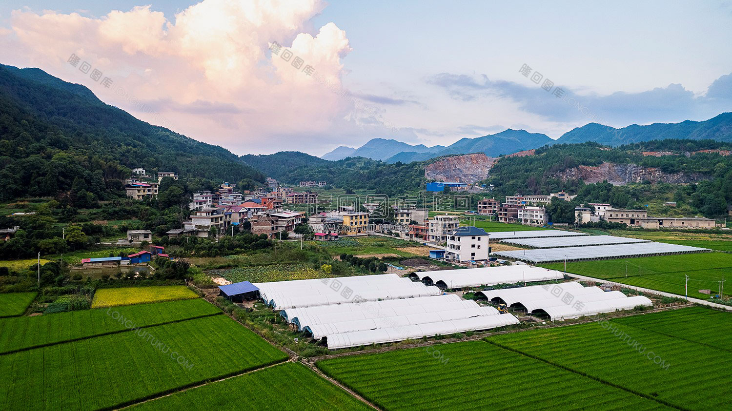 荷田乡村田园风光