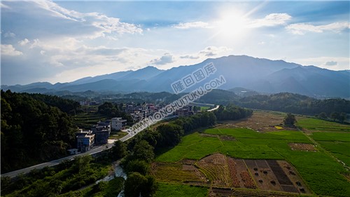 丁山村田园风光