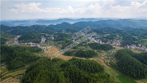 堂里卿家院子方向