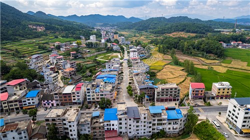 803路口803驾校路口