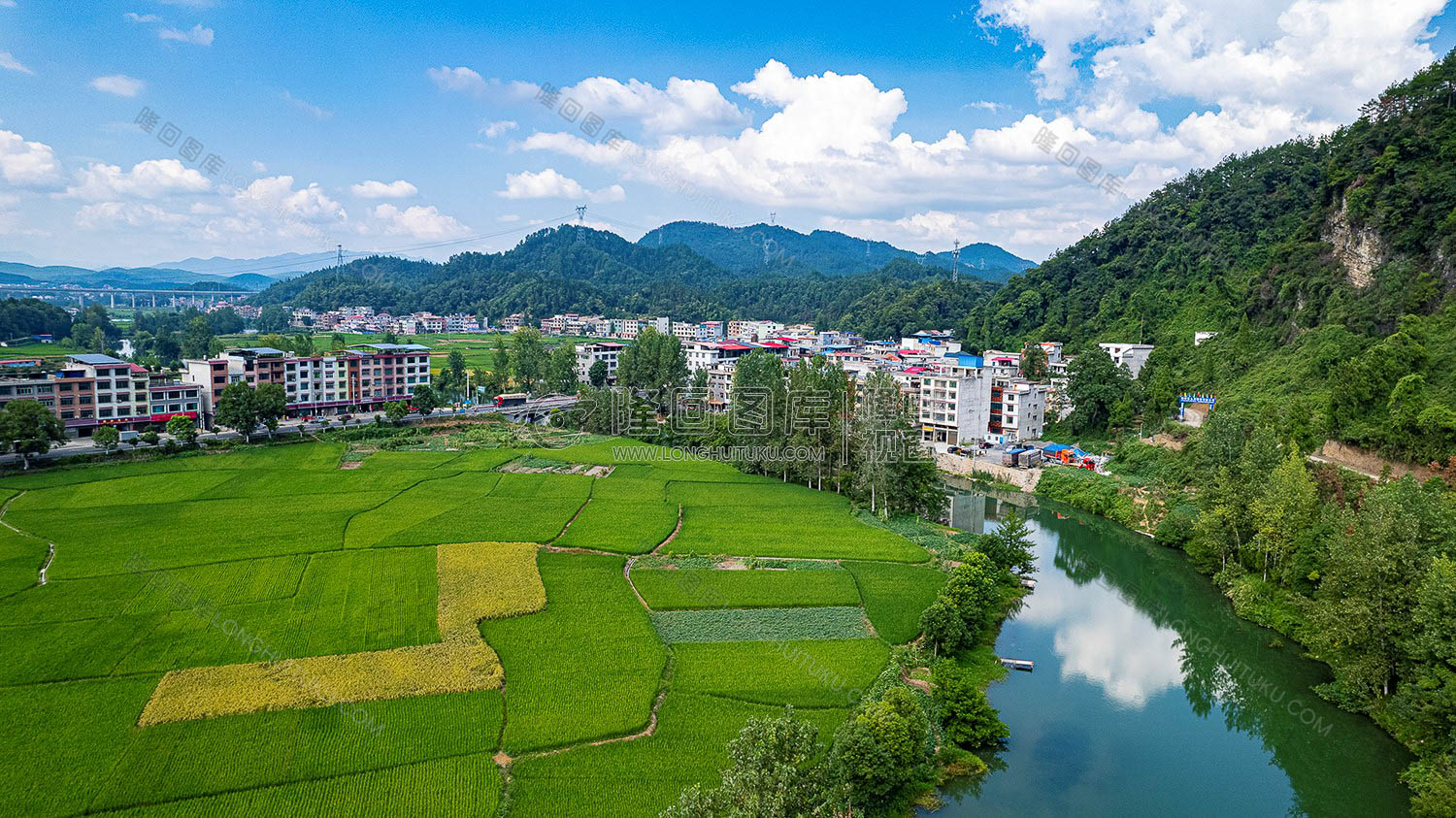 西洋江旁的农田