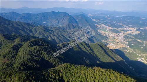 九龙山