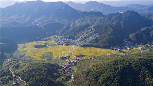 九龙山下白竹坪村