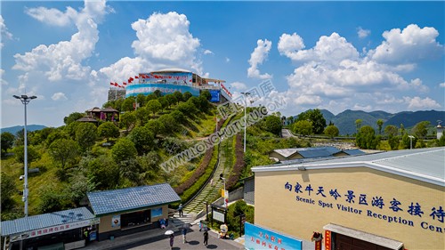 向家村牛天岭景区